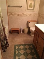 Decor & Step Stool in Basement Bathroom