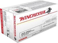 Winchester 22-250Rem 45GR - 200 Rounds