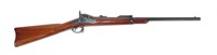 U.S. Springfield Model 1884 trapdoor carbine,