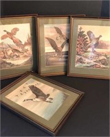 Set of 4 Beautiful Wild Birds Framed Paintings