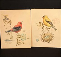 Pair Chad Barrett Songbird Paintings