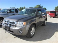 2011 FORD ESCAPE XLT 4X4 1FMCU9DG4BKC71661