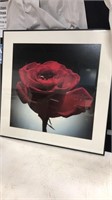 Red rose framed art