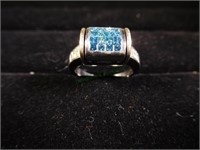 14kt White Gold w/ Blue & White Diam Rev Cluster