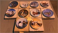 10 Federal Duck Stamp Commemorative Display Plates