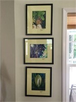 3 Framed photographs by Billy Roberts