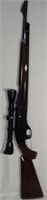 Remington Nylon 66 rifle