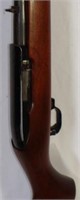 Ruger 10-22 rifle
