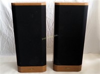 Pioneer Csr 380 Speaker System Pair