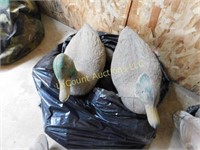 12 Mallard decoys