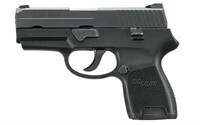 Sig Sauer, P250, Double Action Only, Sub Compact P