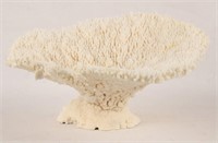 TABLE CORAL SPECIMEN FROM THE PHILIPPINES