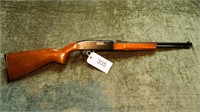 Winchester Model #190 22