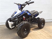 ATV 1300 W