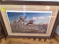 Pheasant print in frame
