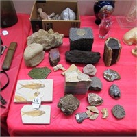 Large Lot of Fossils, Geos, Earth Treasures++