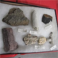 Riker Box of Fossils mostly reclaimed in VA