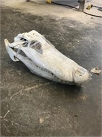 Gator Skull