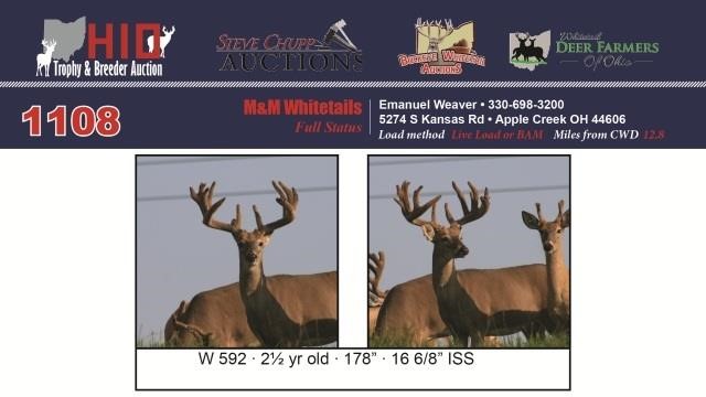 2017 Ohio Trophy And Breeder Auction
