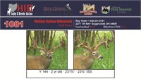 Y 144 Trophy Buck