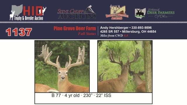 2017 Ohio Trophy And Breeder Auction