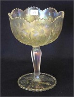 Cosmos & Cane jelly compote - white