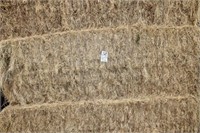 Hay-Grass-Lg. Squares-1st-9 Bales