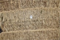 Hay-Grass-Lg. Squares-1st-8 Bales