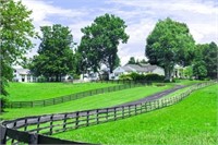 Johnny Depp's 41 Acre Kentucky Farm