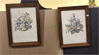 Two framed floral prints, 12x16 inches, (374)