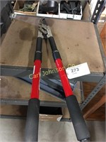 SET OF PRUNERS W/EXTENDABLE HANDLE