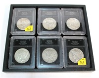6- Collection of slab certified Peace silver