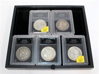 5- Collection of slab certified Morgan silver