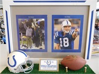 Colts Display