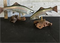 BEAUTIFUL SPECKLED TROUT DECOR
