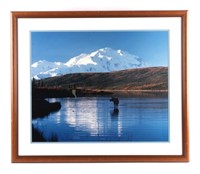 Thomas Mangelsen Framed Alaskan Moose Photograph