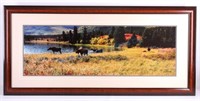 Original Thomas Mangelsen Framed Moose Photograph