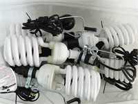 Large CFL Light Bulbs (6+1), Lamp Fixtures (7)