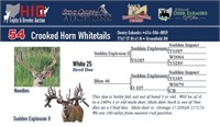 White 25 bred doe
