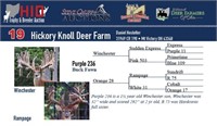 Purple 236 buck fawn