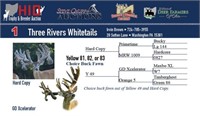 Choice buck fawn