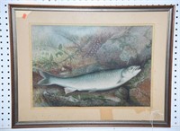 Lot #154a Framed game print of Trout on river