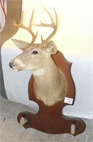 Deer Buckhead Gun Rack
