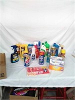 Group of household cleaners