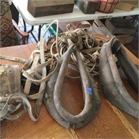 horse collars, rope an more