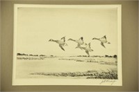 Lot #69 J.D. Knap (1875-1962) “Canada Geese”