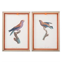 Jacques Barraband. Pair of ornithological prints