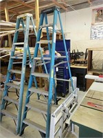8 Ft Warner Fiberglass Step Ladder
