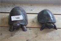 Ironwood turtles