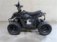 ATV 110 cc Sort